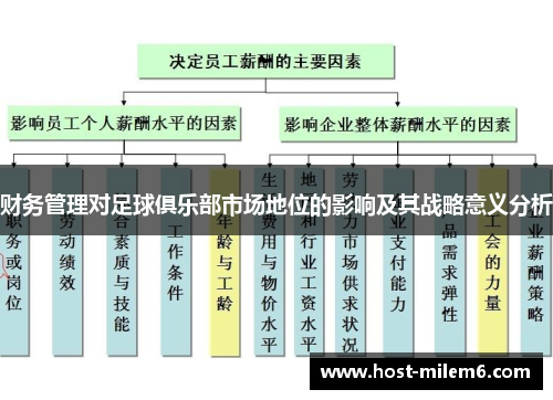 财务管理对足球俱乐部市场地位的影响及其战略意义分析