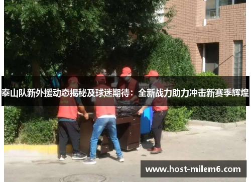 泰山队新外援动态揭秘及球迷期待：全新战力助力冲击新赛季辉煌