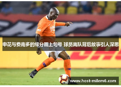 申花与费南多的缘分画上句号 球员离队背后故事引人深思