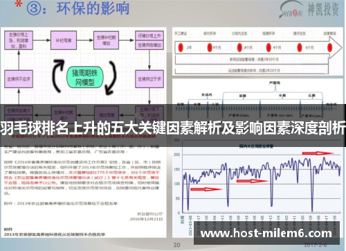 羽毛球排名上升的五大关键因素解析及影响因素深度剖析