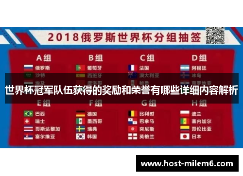 世界杯冠军队伍获得的奖励和荣誉有哪些详细内容解析