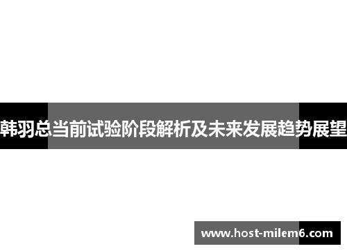 韩羽总当前试验阶段解析及未来发展趋势展望