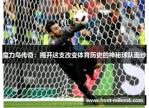 魔力鸟传奇：揭开这支改变体育历史的神秘球队面纱